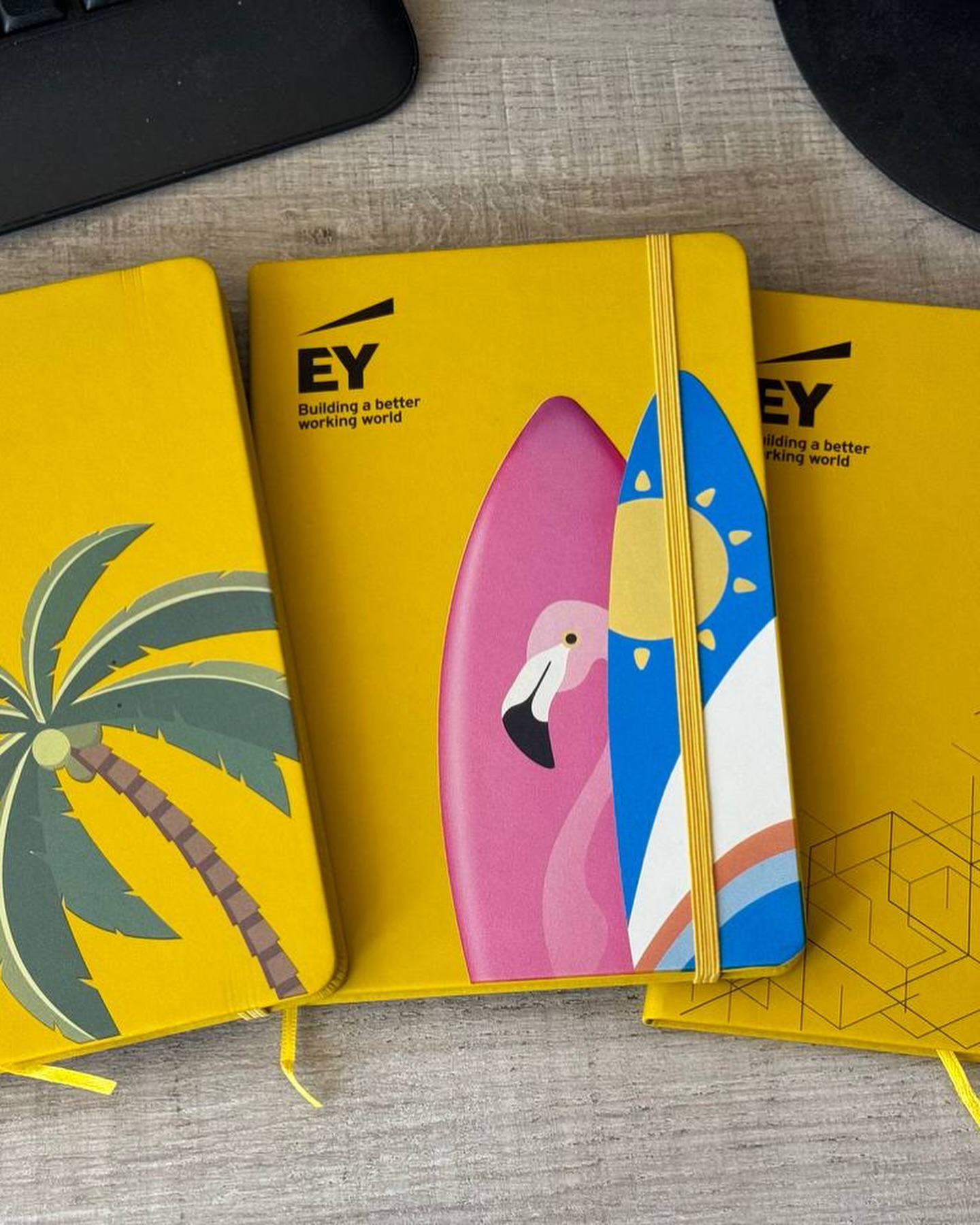 Ey project 11